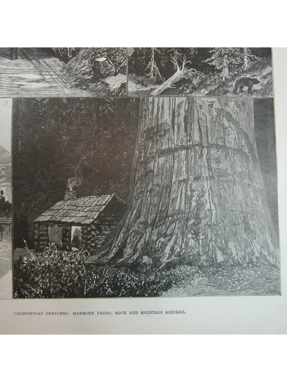 Antique 1888 Print Californian Sketches Mammoth Trees Rocks and Mountain Scenery